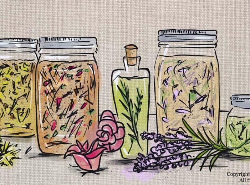 A Comparison Hot Process Soap Vs Cold Process RusticWise