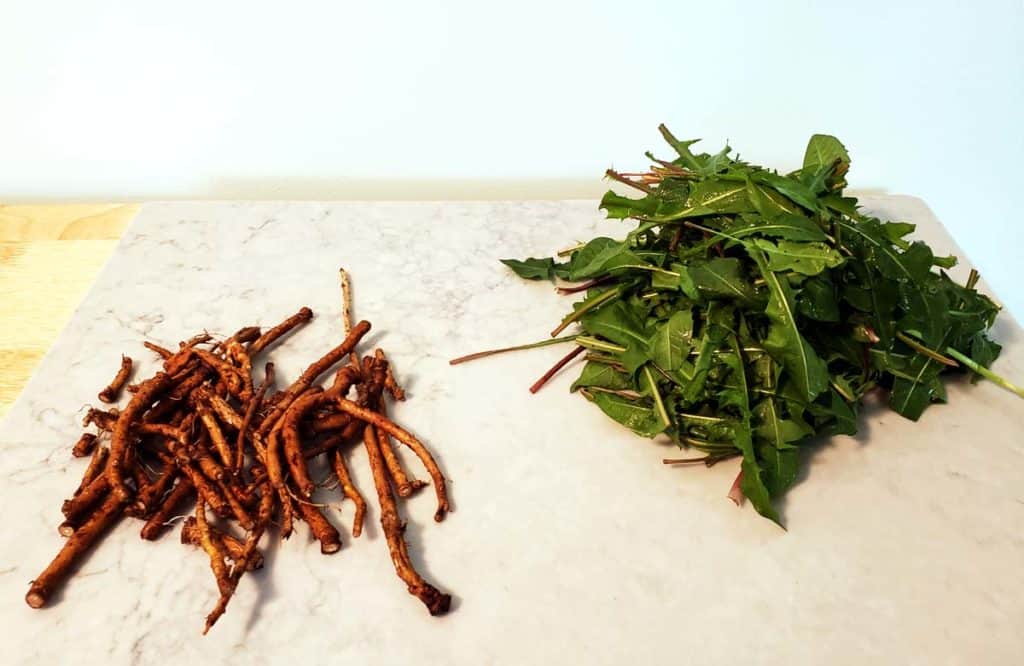 RusticWise_HowToMakeDandelionRootCoffee2