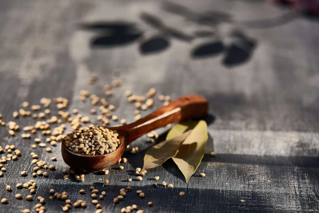 Coriander Shelf Life: Tips on Storing Dried and Fresh Coriander to Extend Storage Time 2 Unsplash_CorianderShelfLife-seeds