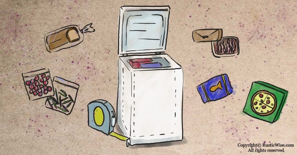 What Do Weevils Look Like A Closer Look at the Pests in Your Pantry