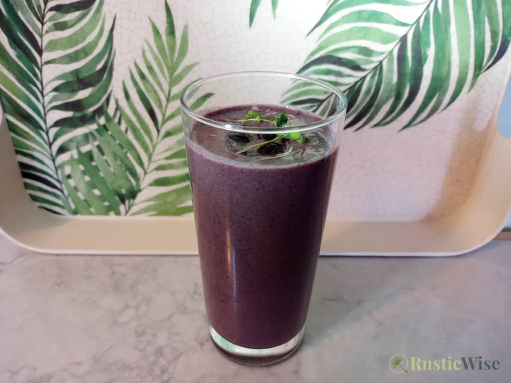 RusticWise_MicrogreenSmoothieRecipes_berry