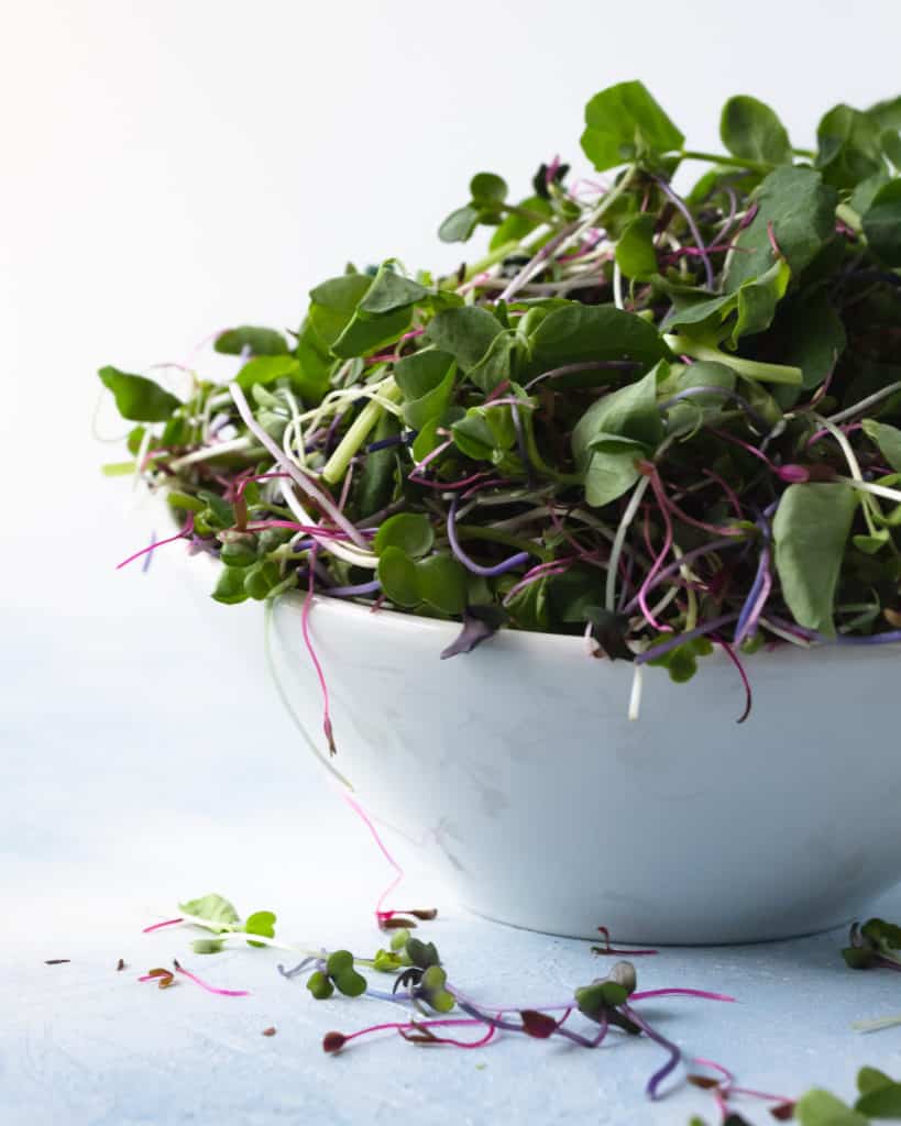 Unsplash_CabbageMicrogreens-microgreensbowl