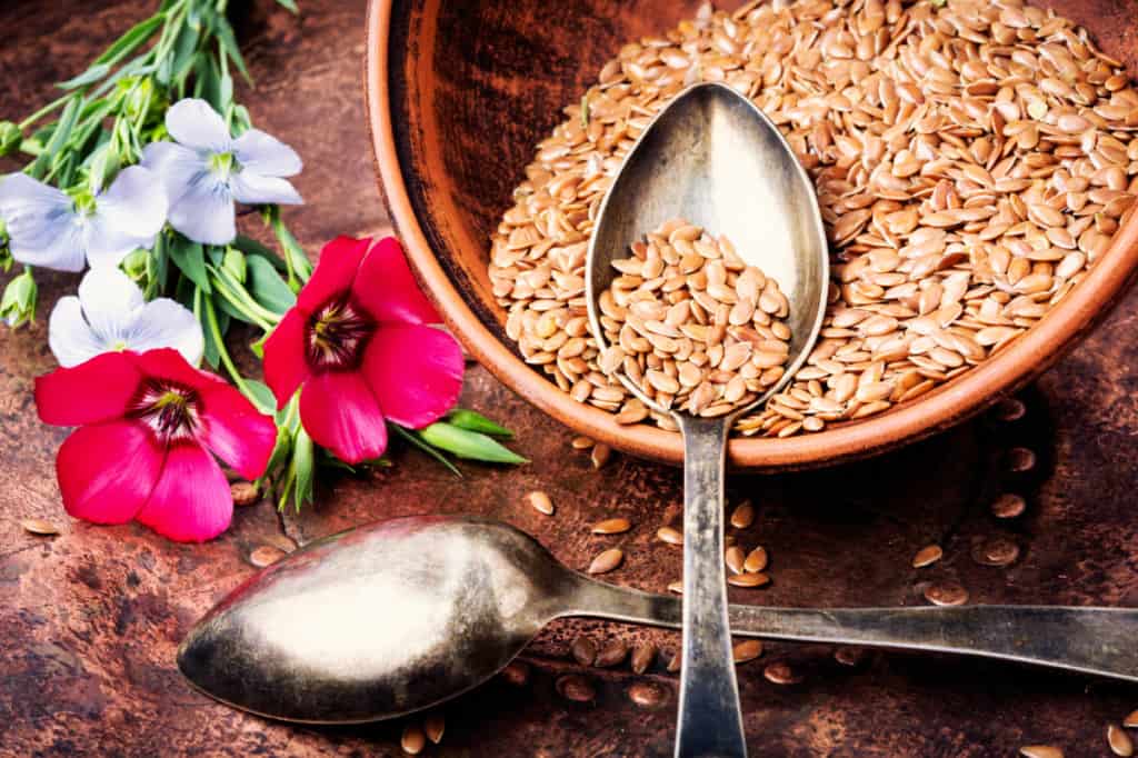 The Benefits of Flax Microgreens and How To Grow Your Own 2 YayImages_BenefitsOfFlaxMicrogreens_brown-flax-seeds