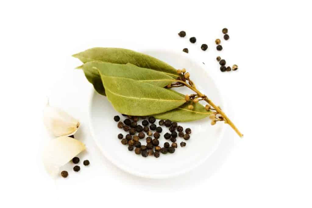 YayImage_WhatIsThePicklingProcess_garlic-peppercorn-and-bay-leaf