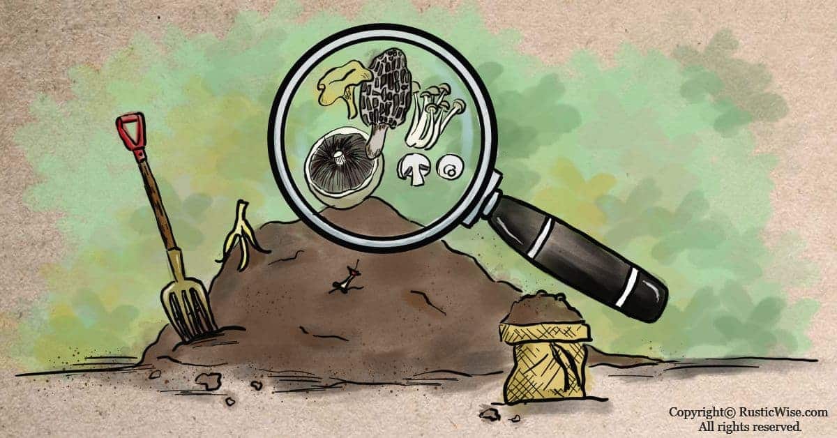 Can You Compost Mushrooms? Up-Close-and-Personal With Fungi 1 RusticWise_CanYouCompostMushrooms
