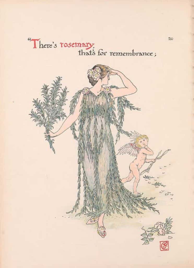 Flickr-HistoryOfHerbs-BHL-Rosemary