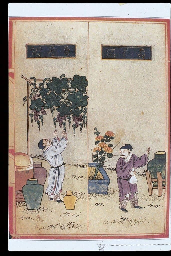 HistoryOfHerbs_1024px-Chinese_Materia_Dietetica,_Ming;_Alcoholic_beverages_Wellcome_L0039397