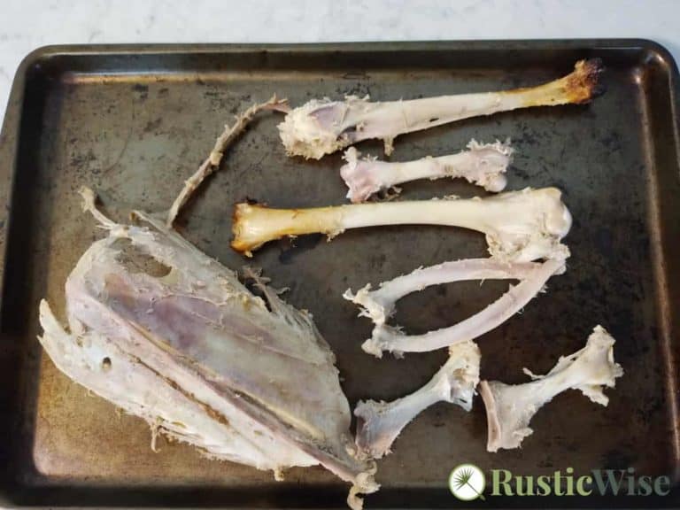 Can You Compost Bones? Here’s the NittyGritty » RusticWise