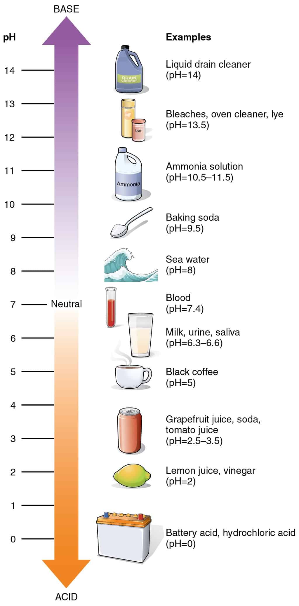 service-and-maintenance-of-the-pool-check-the-ph-of-the-pool-liquid