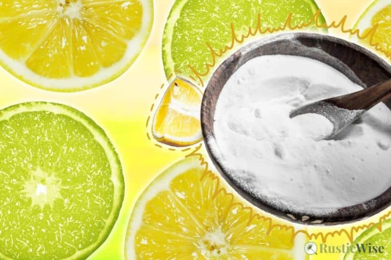 How Does Stainless Steel Soap Work? And Is It a Gimmick? » RusticWise