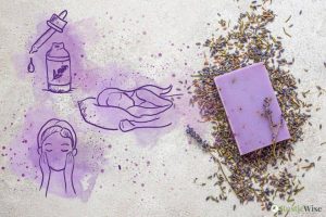 Lavender Soap Benefits: How To Get the Most Out of This Healing Herb