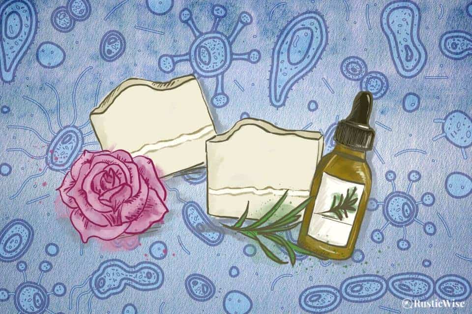 RusticWise, natural antibacterial soap