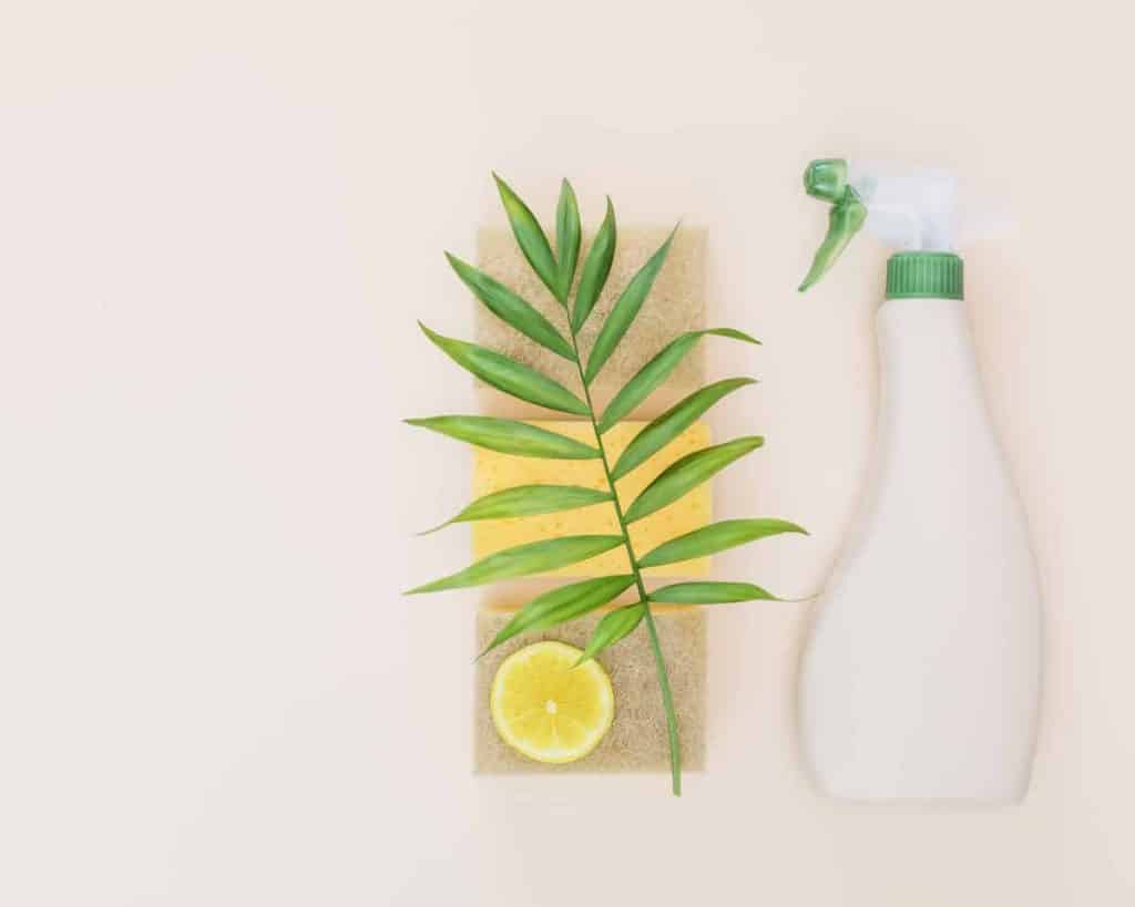 what is greenwashing, spray bottle, leaf, and lemon