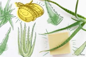 7 Aloe Vera Soap Benefits + Easy DIY Liquid Aloe Soap Recipe