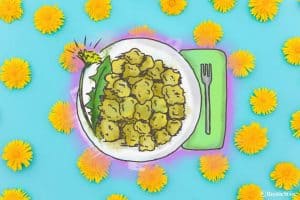 Easy Dandelion Flower Recipe: How To Make Tasty Dandelion Fritters