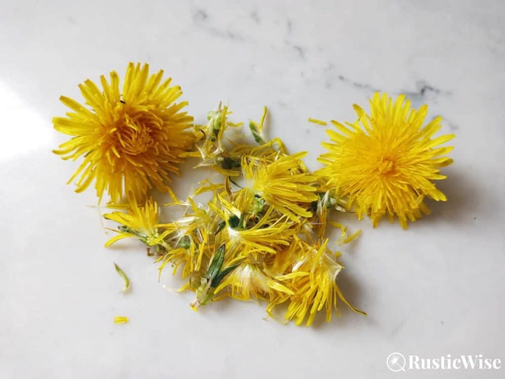 RusticWise, dandelion flower recipe, remove petals