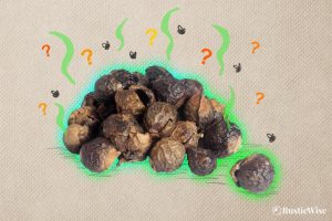 Do Soap Nuts Expire? A Guide to Shelf Life and Reusing Soapberries